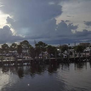 Meet your Posher, Terry